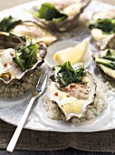 Oysters on spinach with spicy hollandaise sauce