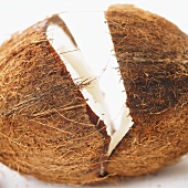 Zerbrochene Kokosnuss (Nahaufnahme)