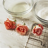 Making candied roses
