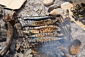 Frisch gefangene Makrelen auf Grill am Strand