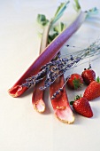 Rhubarb, strawberries and lavender flowers