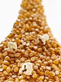 Corn kernels and popcorn