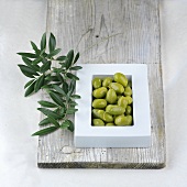 Green olives and olive sprig