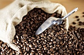 Roasted coffee beans with hessian sack and scoop