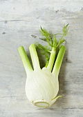 A fennel bulb