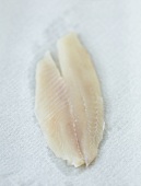 Tilapia fillet