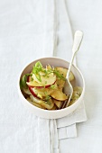 Apple salad with sour milk cheese