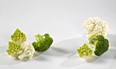 Cauliflower, broccoli and romanesco florets