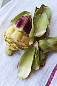 Artichoke with outer leaves removed on tea towel
