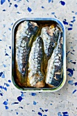 Sardines in tin