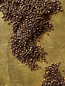 Coffee beans on gold background