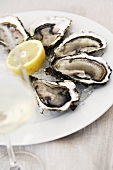 Raw Oysters on Ice with Lemon