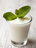 Yoghurt with mint