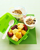 Fruit salad in lunch box, yoghurt with muesli