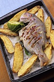 Snapper with potato wedges on salt