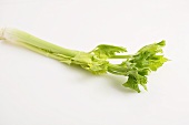 Celery