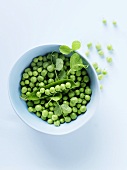 Fresh peas in pale blue dish from above