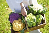 Woman carrying different coloured cauliflowers in wooden basket