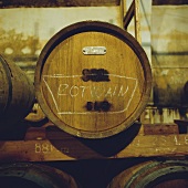 Red wine barrels in a wine cellar, Slovin, Slovenia
