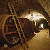 Wine cellar of Bàtaapàti Estate, Tolna, Hungary