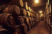 Port barrels, Graham's Lodge, Vila Nova de Gaia, Portugal
