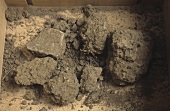 Terroir: loamy soil with high lime content, Palatinate, Germany
