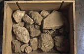 Terroir: Kalkstein mit Sand