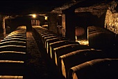 Wine cellar of Château Lamothe de Haux, Graves, Bordeaux