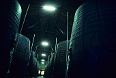 Fermentation tanks, Banyuls, Roussillon, France