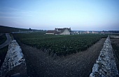 Clos de Vougeot mit Château, Côte d'Or, Burgund, Frankreich