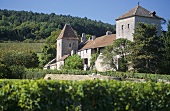 Das Château de Gevrey-Chambertin, Côte de Nuits, Burgund