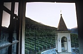 Das Weingut La Gatta, Bianzone, Valtellina, Lombardei, Italien