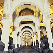 Wine barrels, Bodega Domecq, Jerez, Spain