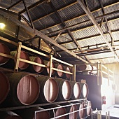 Weingut Peter Lehmann, Barossa Valley, Südaustralien