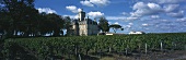 Château Larose-Trintaudon, Haut-Médoc, Médoc, Bordeaux, Frankreich