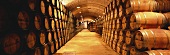 Cellar of Bodegas los Llanos Winery, Valdepeñas, Spain