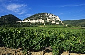 Weinbau bei Seguret, Cotes du Rhone, Frankreich