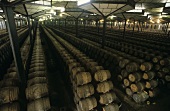 The world's largest wine cellar, Gonzalez Byass, Jerez, Spain