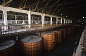 Wine tanks at Santa Rita Winery, Maipo Valley, Chile