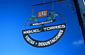 Miguel Torres Wines, Curico, Curico Valley, Chile