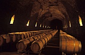 Barrique cellar, Tenuta Le Querce winery, Basilicata, Italy