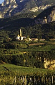 The wine & fruit-growing village of Kurtatsch, S. Tyrol, Italy
