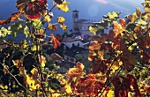 View of Castelrotto through autumn leaves, Ticino, Switzerland