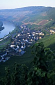 The wine village of Ürzig, Mosel-Saar-Ruwer, Germany