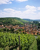 Blick über den Weinort Randersacker, Franken, Deutschland