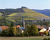 Blick über den Weinort Oberhausen, Nahe, Deutschland