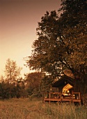 Wooden cabin with veranda in wild landscape