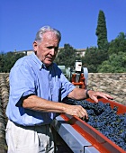 Aimé Guibert Cabernet Sauvignon, Aniane, Hérault, Frankreich