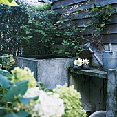 Bewachsene Hauswand mit Brunnen und Gartenutensilien