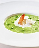 Pea soup with prawns and creme fraiche
